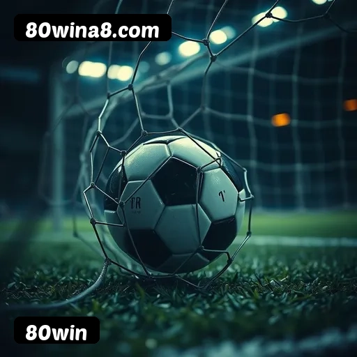 Níveis do programa VIP da 80win